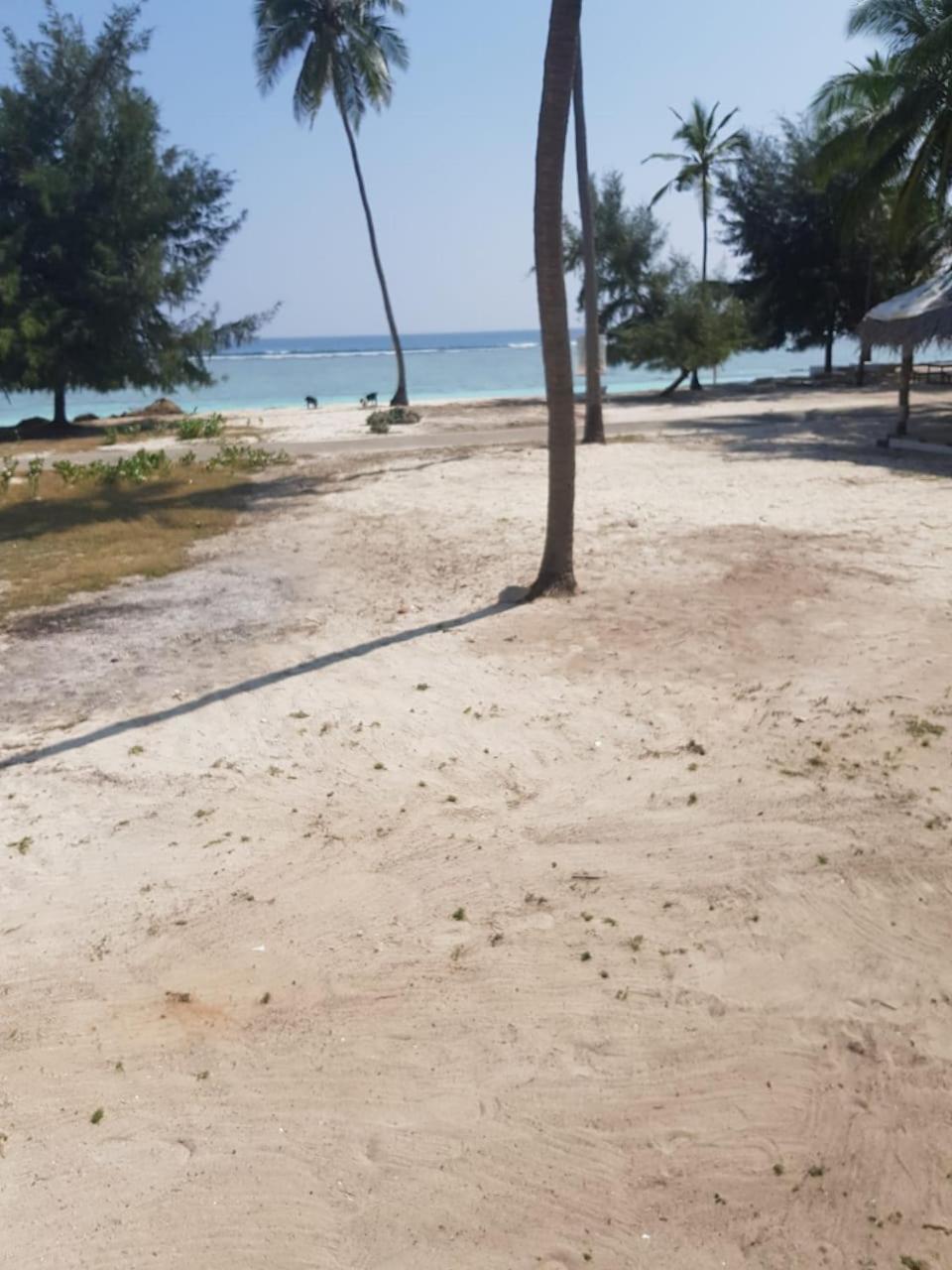 Flyzone Seashell Cottages Only For Indian Nationals With Valid Entry Permit Agatti المظهر الخارجي الصورة